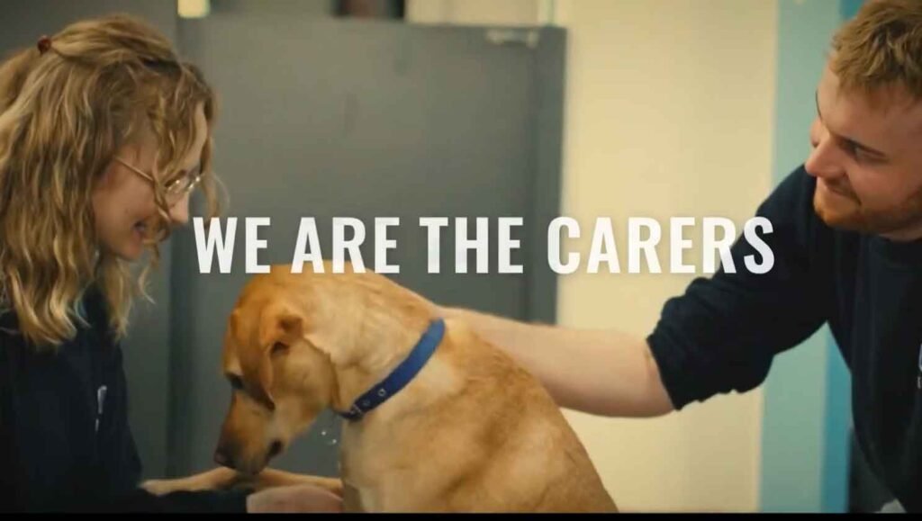BATTERSEA DOGS & CATS HOME